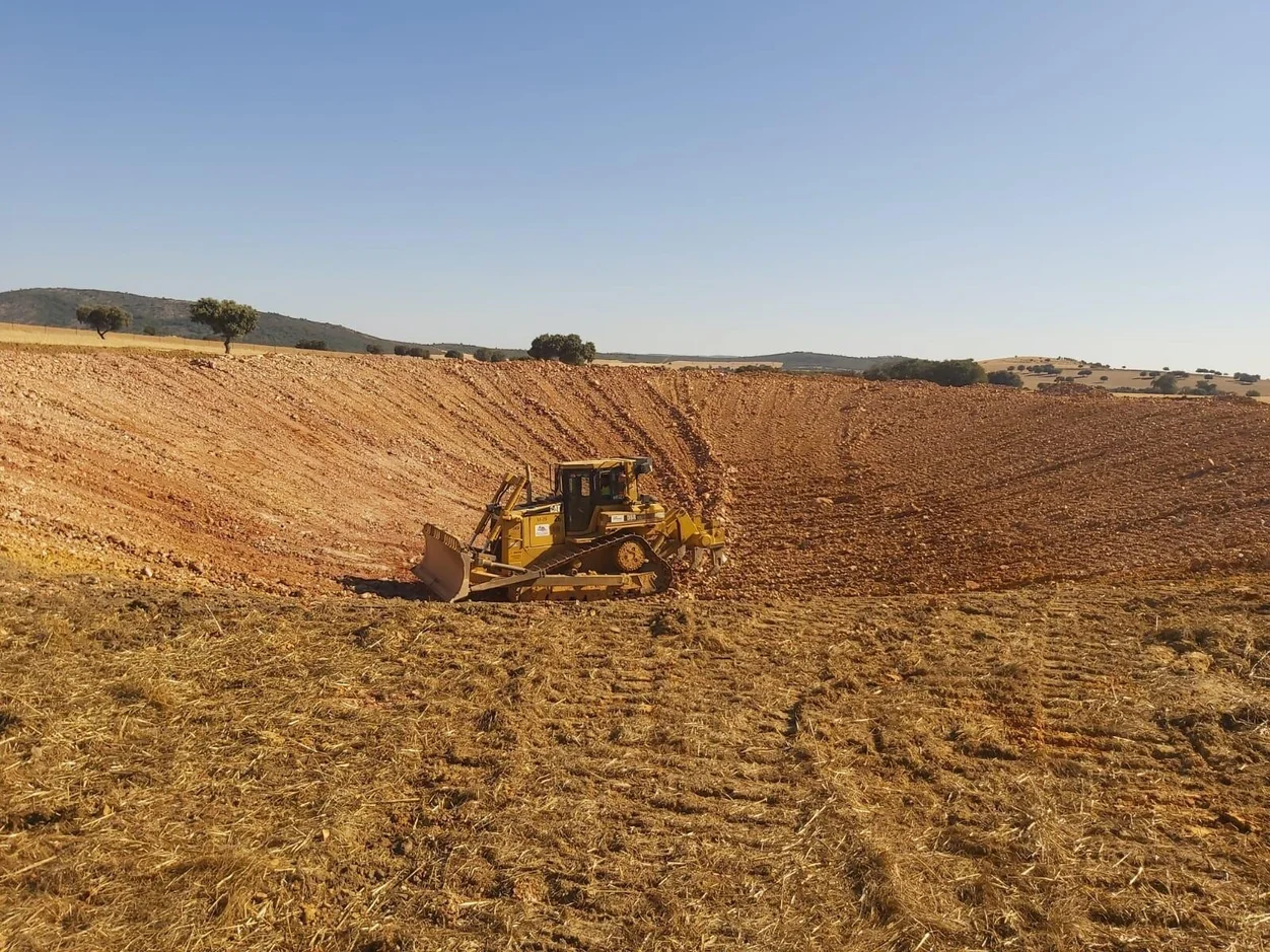 tratamientos selvícolas en Ciudad Real