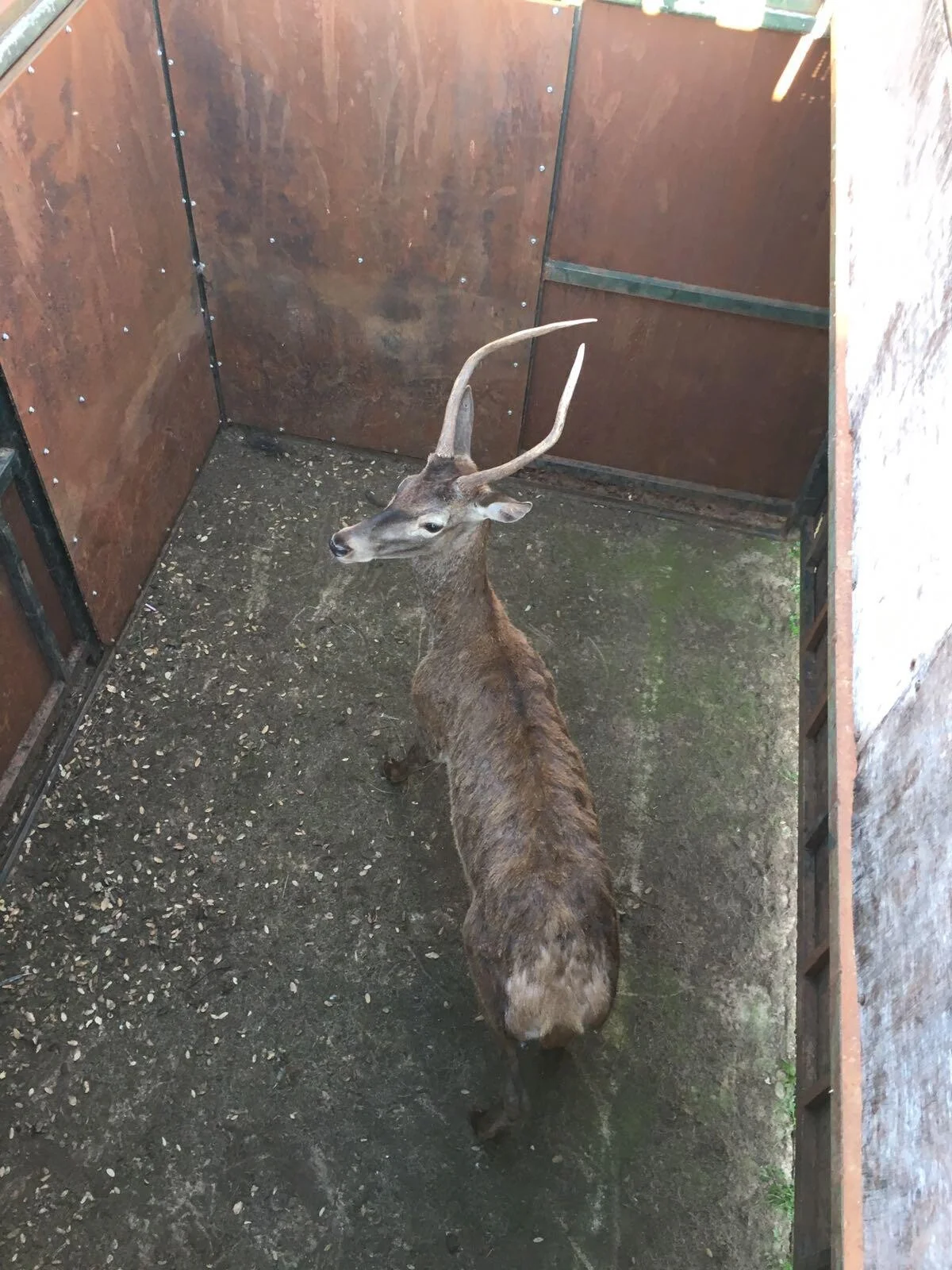 Gestión Cinegética en Ciudad Real | Control de Fauna