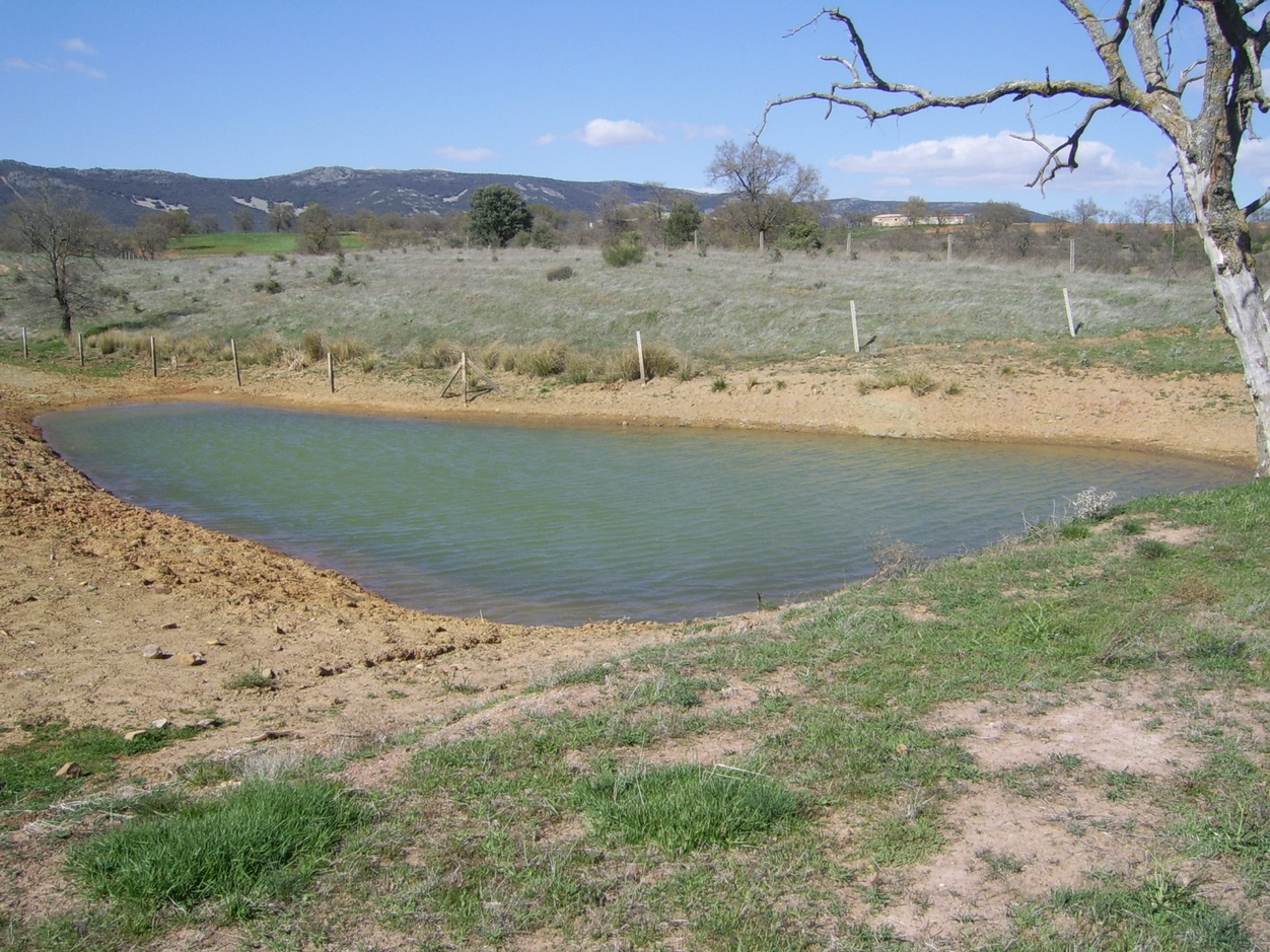 Creación de Puntos de Agua en Ciudad Real | Mejora de Hábitat