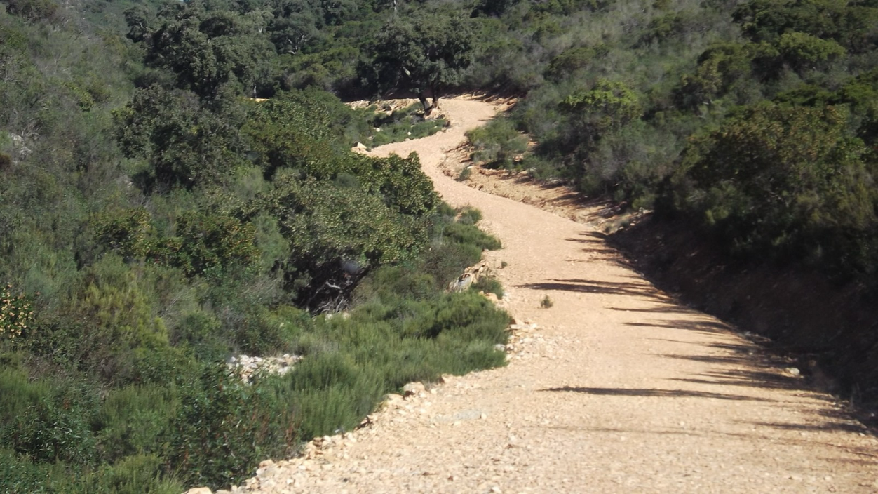 Mejora de Caminos Rurales en Ciudad Real